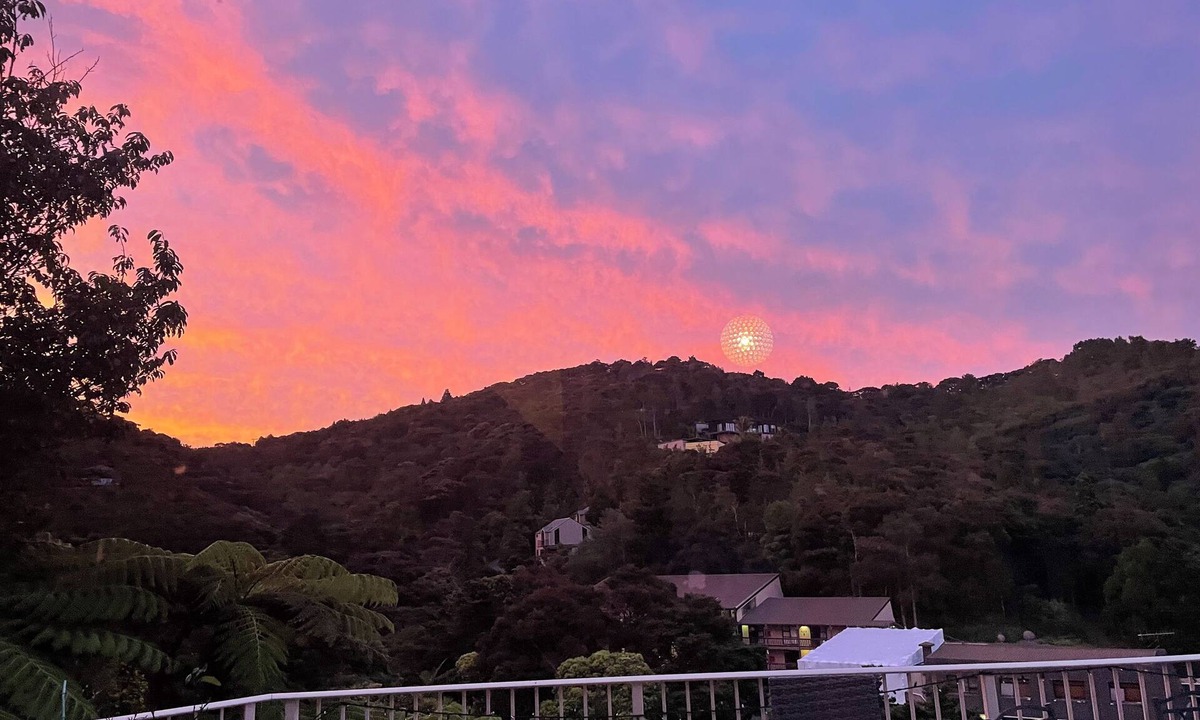 Paihia Hotel | Absolute Bliss