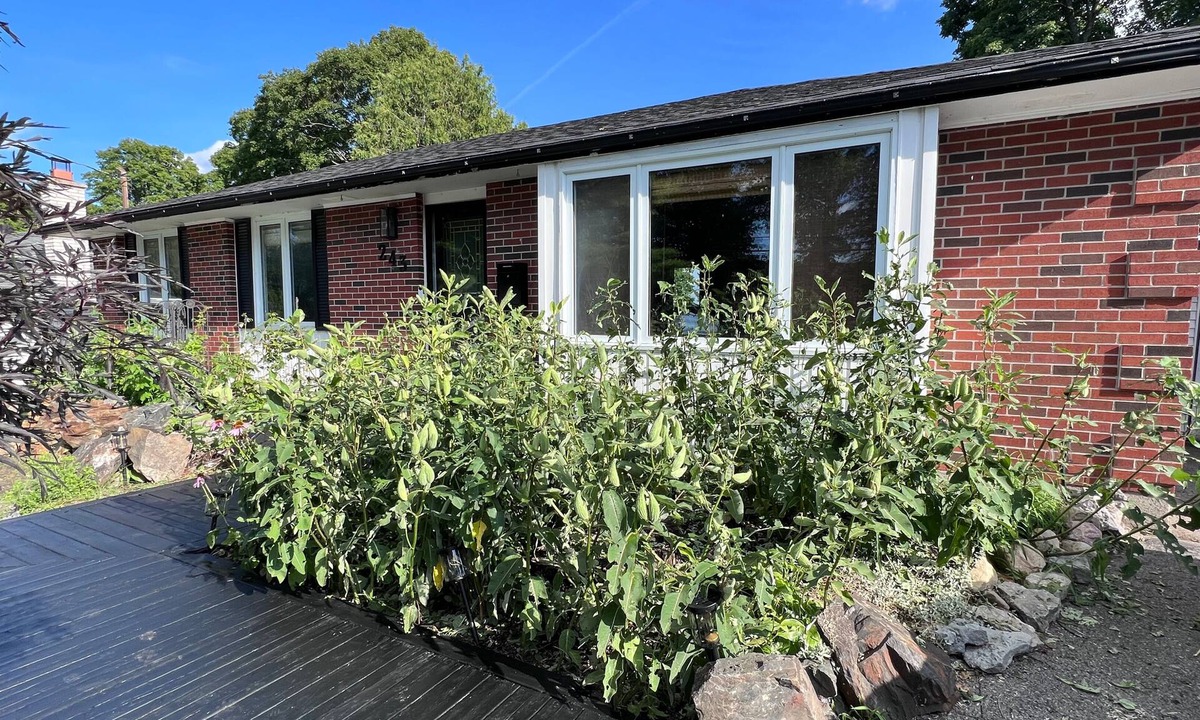 Selwyn House | BEAUTIFUL HOME WITH POOL NEAR TRENT UNIVERSITY