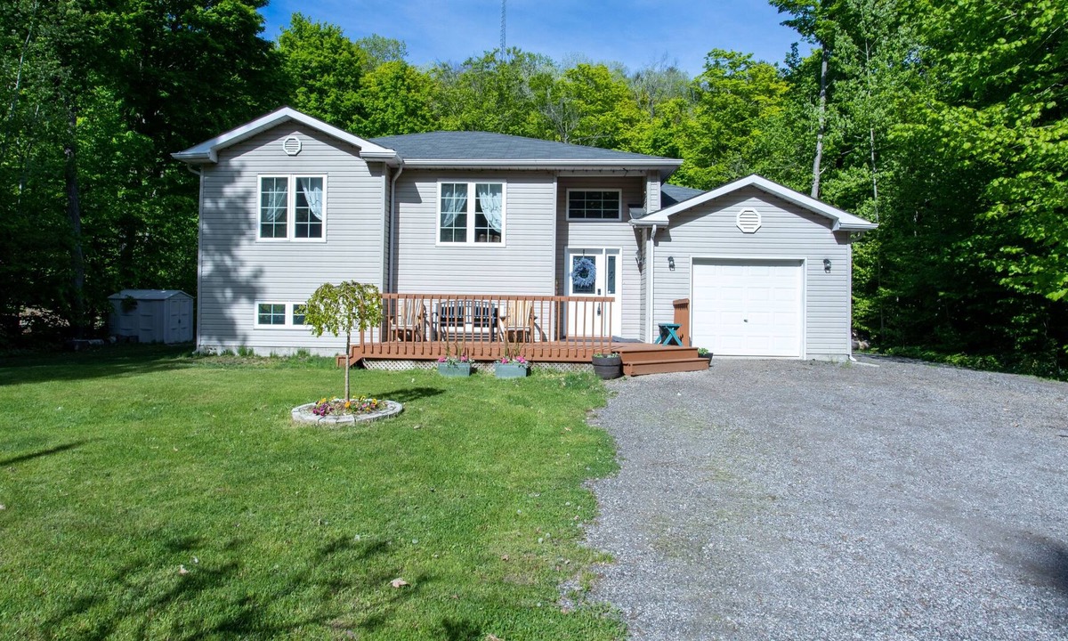 Tiny House | Beautiful View Cottage , hiking trails( Pet -friendly)