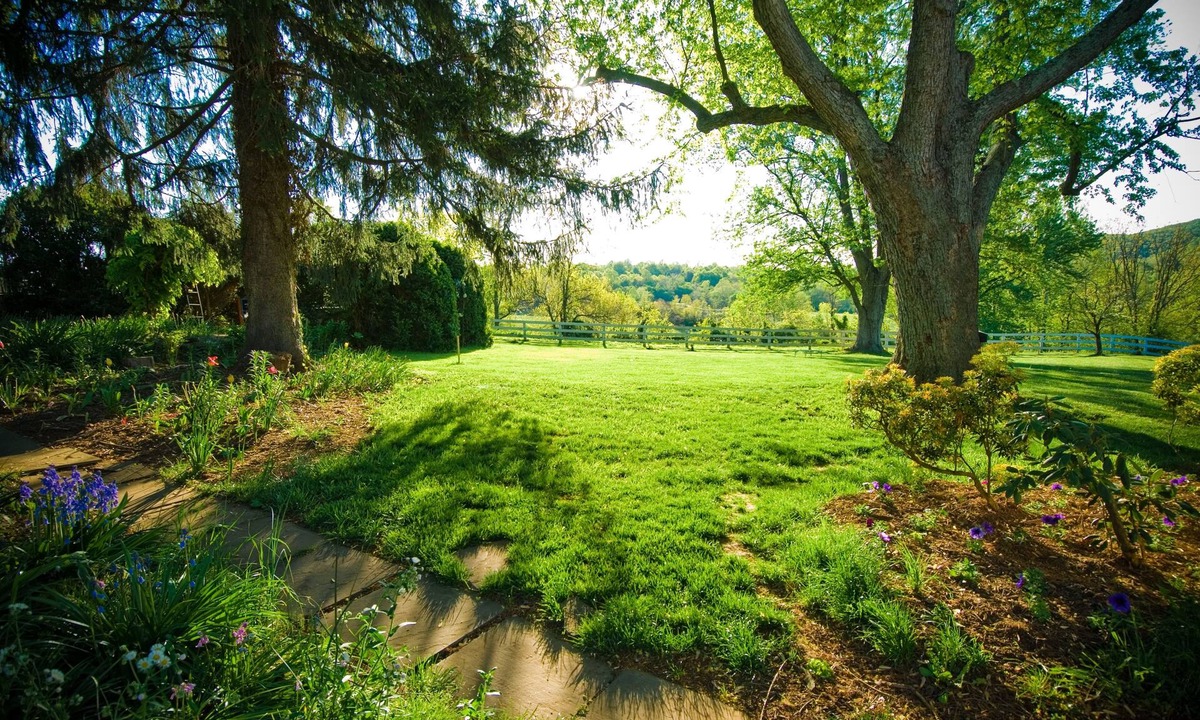 Middleburg House | Briar Patch Bed & Breakfast Inn