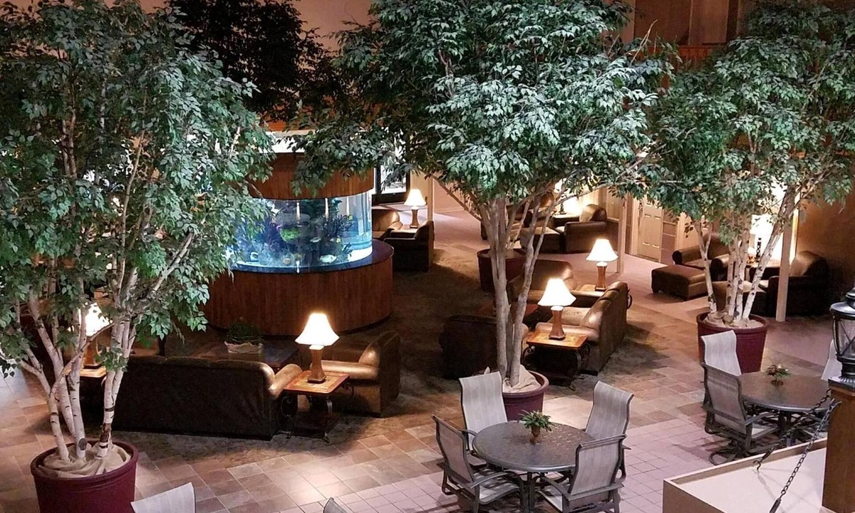 Thief River Falls Hotel | C'mon Inn Thief River Falls