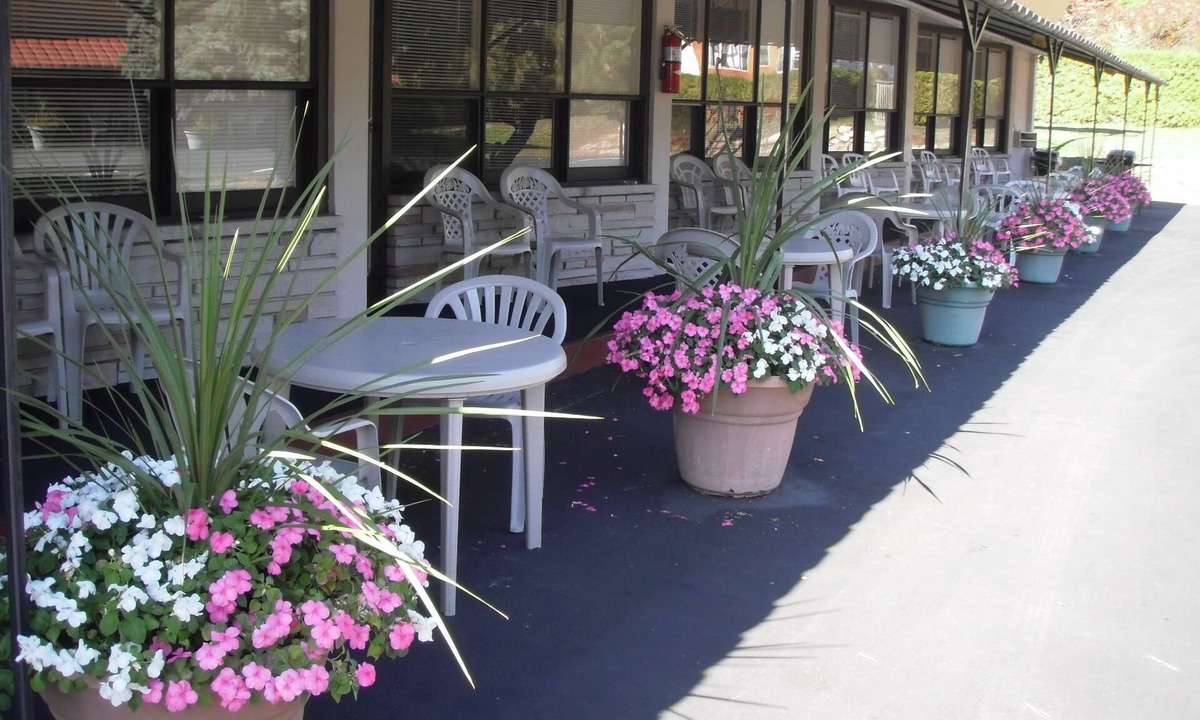 Ivy Lea Hotel | Capricorn Motel Royale Thousand Islands