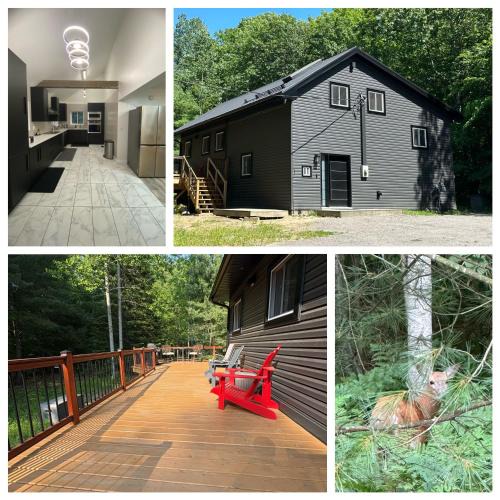 Gravenhurst House | Charcoal Tree House