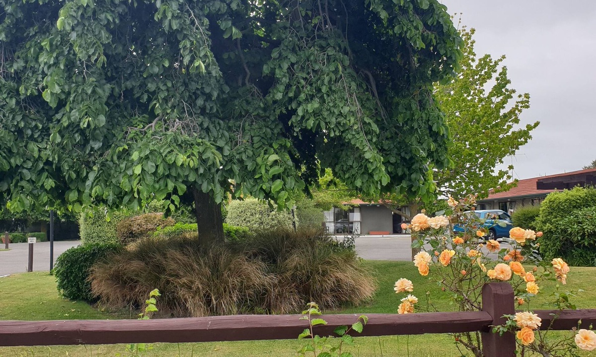 Ashburton Hotel | Commodore Motor Lodge