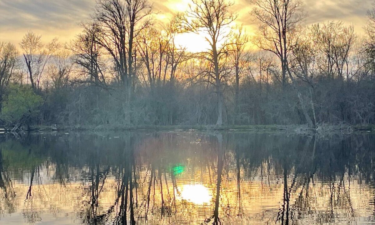 Campbellford Cabin | Cottage 2: Catch More Resort