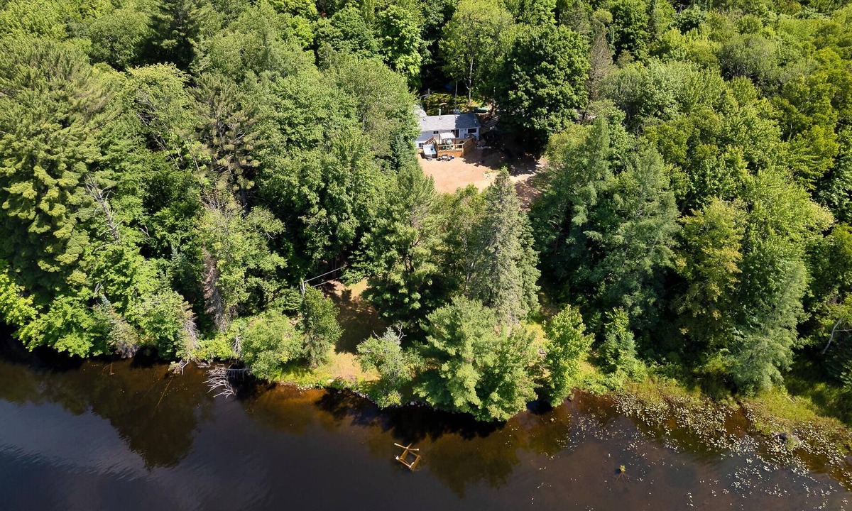 Bracebridge Cottage | Cottage Binx Bracebridge | Large hot tube and outdoor movies on lake Muskoka
