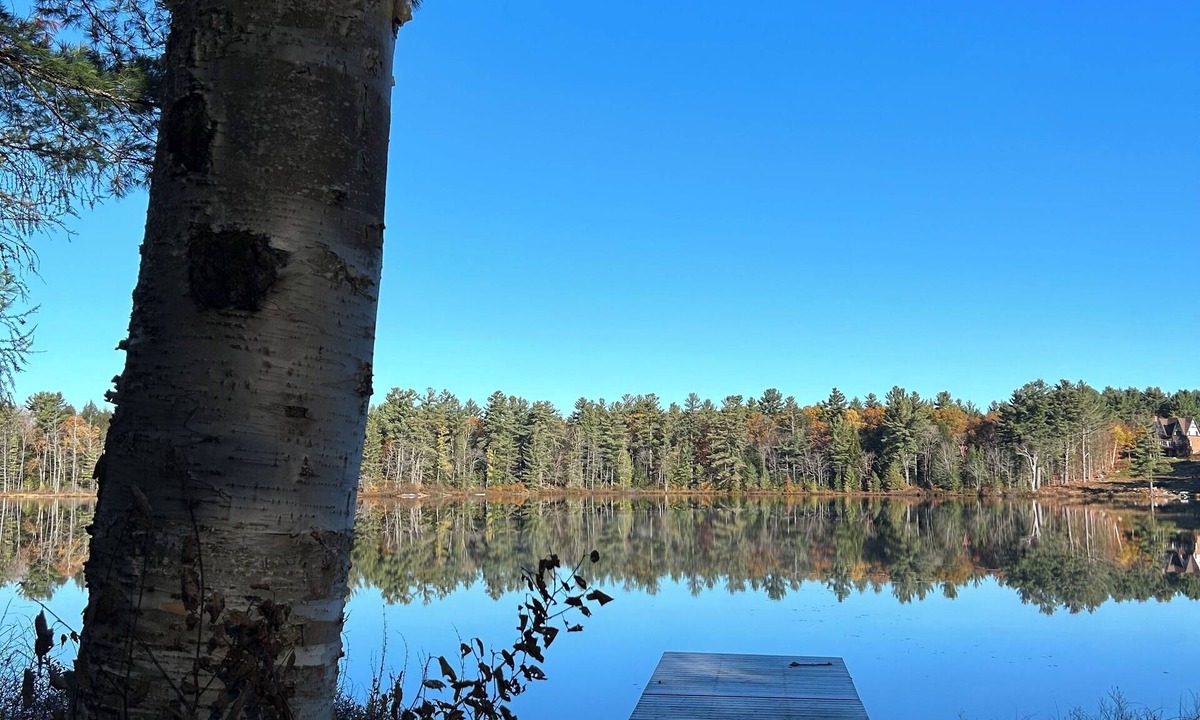 Lake of Bays Cottage | Cozy, bright cottage on quiet, motor-free lake.