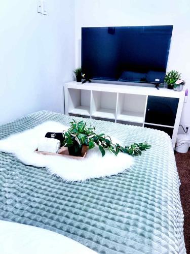 Highland Park House | Cozy Room 1 with Private Entrance