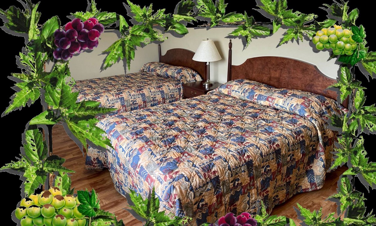 Oliver Hotel | Desert Arms Hotel