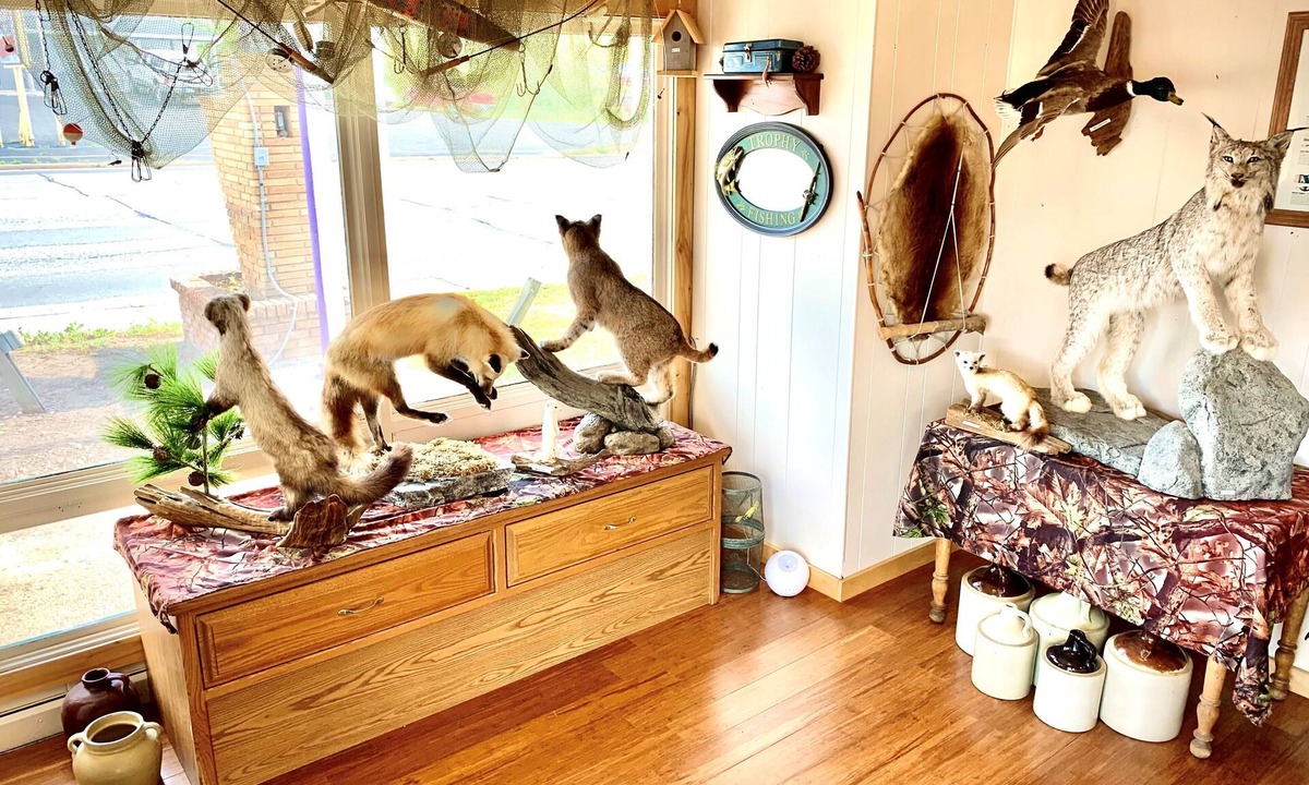 Grand Rapids Hotel | Forest Lake Motel