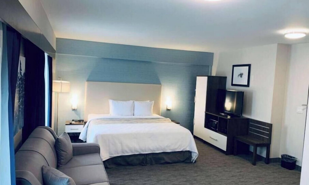 Northeast Mississauga Apartment | Hotel Chandni Victoria - King Room Disability Access