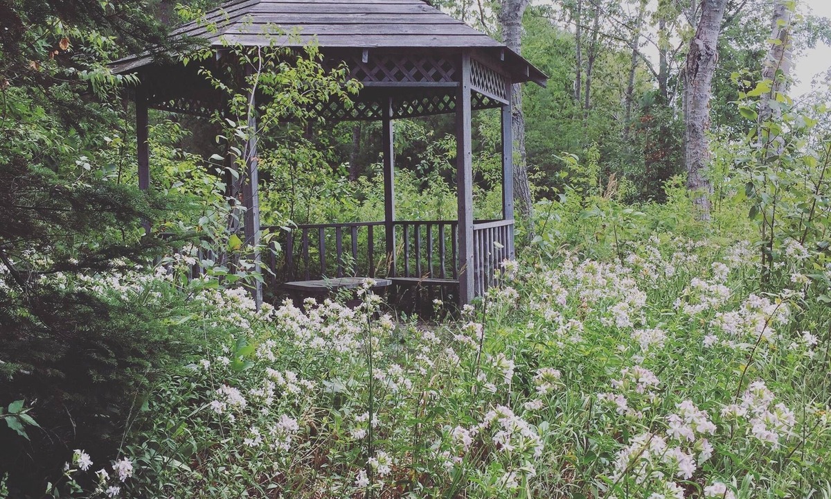 Tiny House | Lux Waterfront Beach house/Cottage
