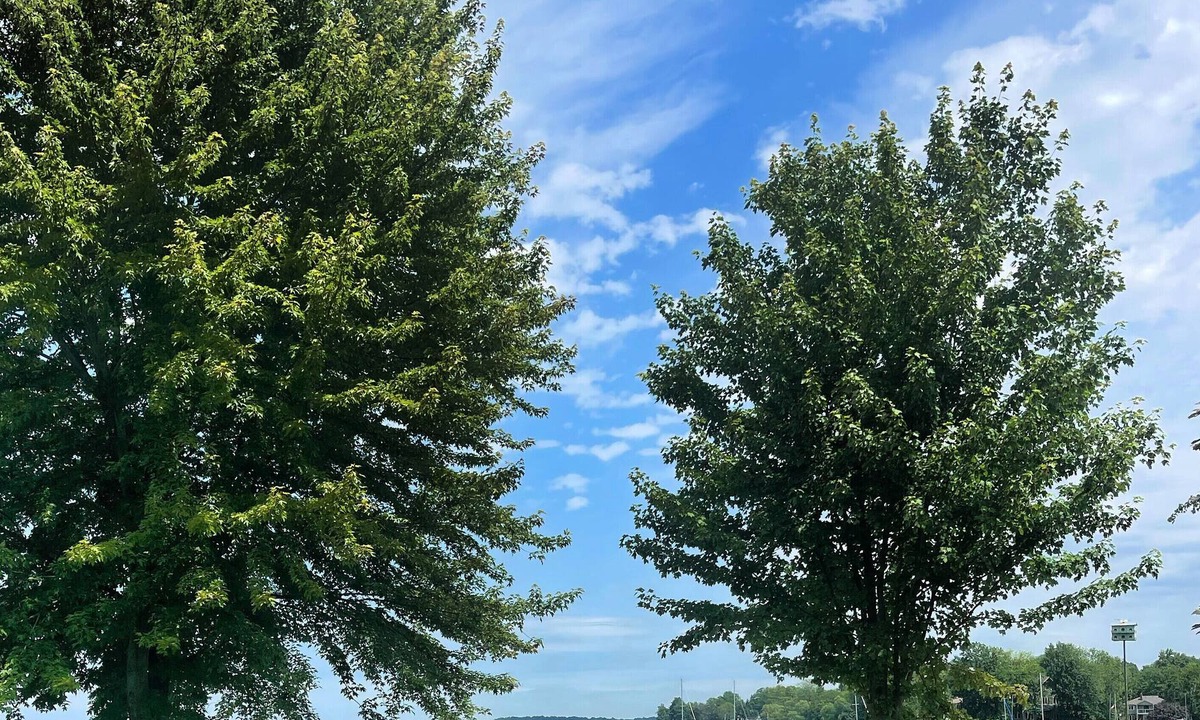 Orillia Cottage | Luxurious all season Lake Couchiching waterfront cottage
