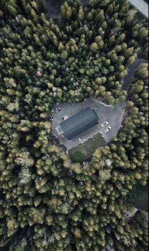 Lion's Head House | Modern Forest Paradise Bruce Peninsula