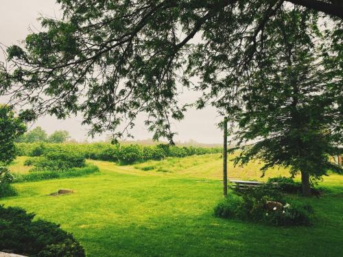 Clarington House | Orchard Haven