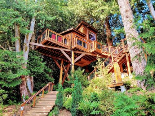 Sooke House | Owl's Perch Treehouse