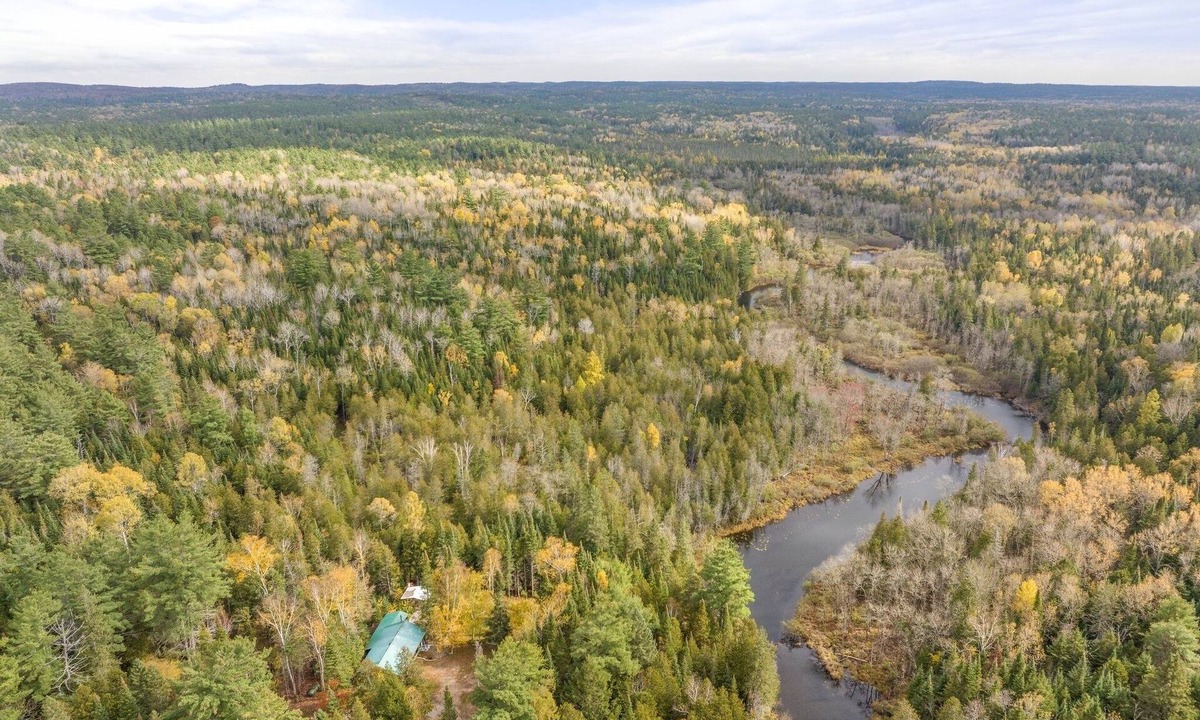 Bancroft Cottage | Peaceful Riverfront Cabin on 43 Private Acres