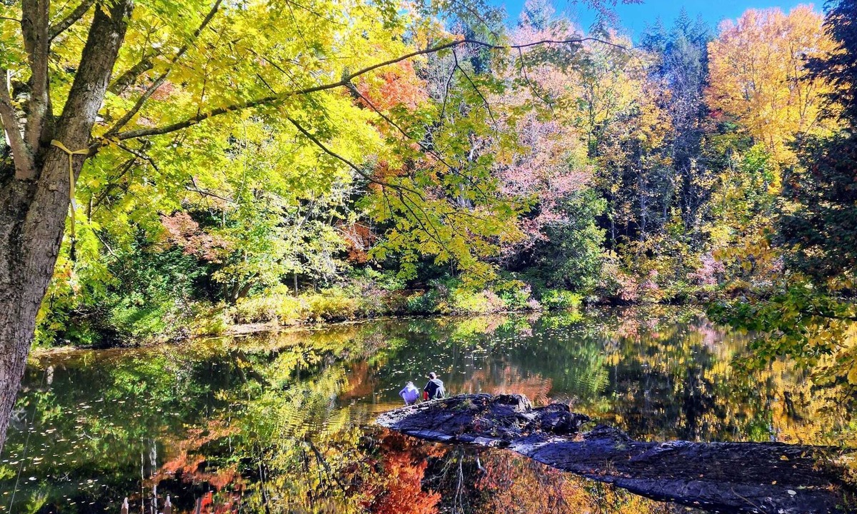 Havelock-Belmont-Methuen Cottage | Perfect Escape from the city, recharge and connect with nature!