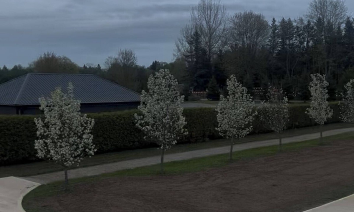 Durham Region House | Pristine 10 Acres