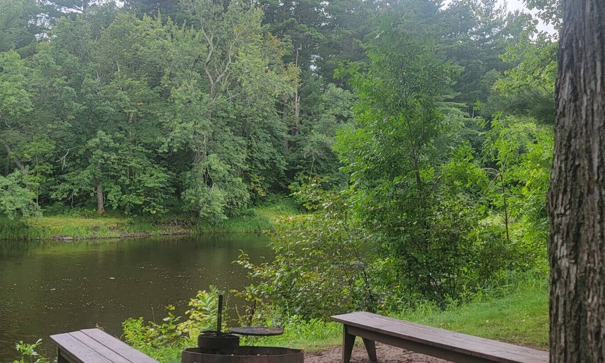 Pine City Cabin | River · Pine City-Riverfront-firepit-kayaks-pets-fireplace