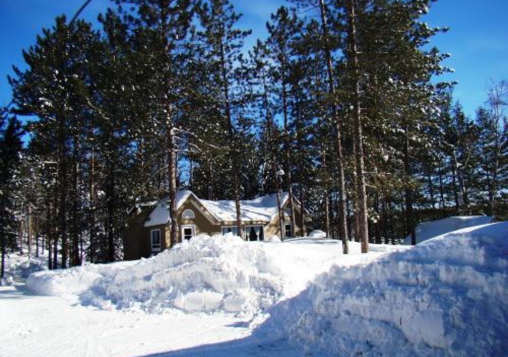 Lake St. Peter Cabin | Silver Birches Cottage Rental - Cottage #3