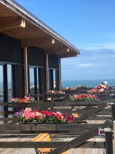 Papatotara Cabin | The Cliffs Resort Seaside Lodge