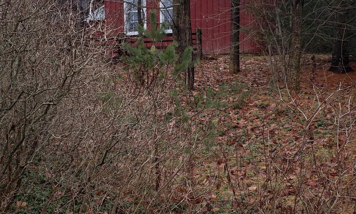 Adjala-Tosorontio Cottage | Up country guest house