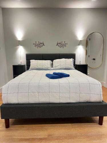 Downtown Halifax Apartment | Urban Jungle Studio #212, Downtown, AC