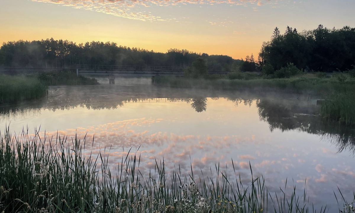 Ray Cabin | Welcome Friends and Family 2 Monthly Rental
