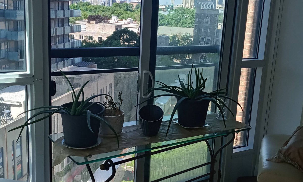 Bay Cloverhill Apartment | WELCOME TO LA RELAXATION n1 Room with a Queen size bed, desk & chair mini fridge