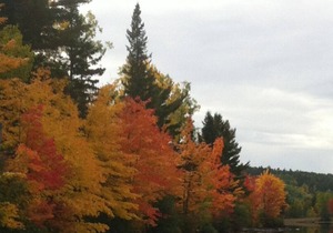 Algonquin Park Area Waterfront Cottage - Madawaska Ontario, Canada