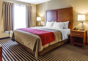 Comfort Inn Owatonna