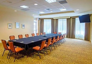 Hilton Garden Inn Rochester Downtown
