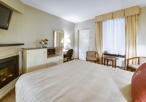 Monte Carlo Inn Toronto West Suites