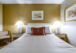Monte Carlo Inn Toronto West Suites