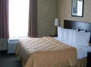 Comfort Inn Sturgeon Falls | Sturgeon Falls