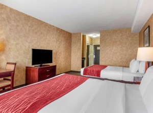 Comfort Inn Sturgeon Falls | Sturgeon Falls