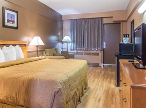 Renovated Little Italy | Downtown Ottawa