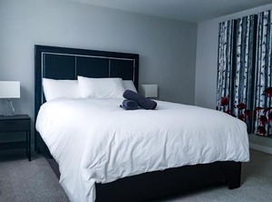 Renovated Little Italy | Vanier North