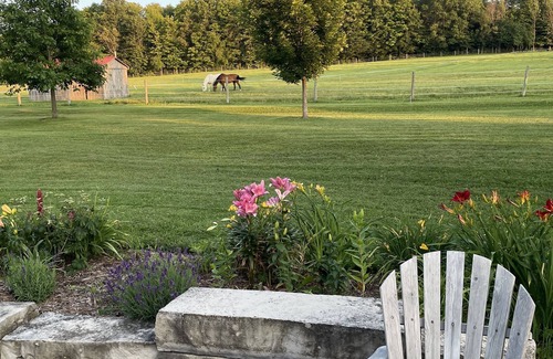 Meaford Apartment | 16 acre pet friendly one bedroom apartment on hobby horse farm.