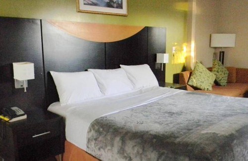 Argyle Hotel | 16 m² Motel ∙ 4 guests