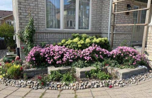 Richmond Hill Bed & Breakfast | 17 m² Bed and breakfast ∙ 4 guests