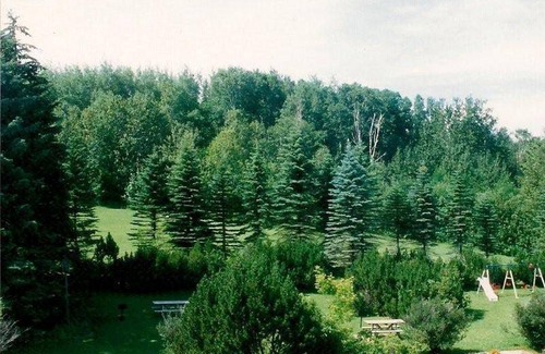 Duluth Hotel | 35 m² Motel ∙ 4 guests