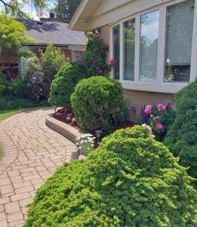 Rexdale Apartment | 85 m² Apartment ∙ 1 bedroom ∙ 2 guests