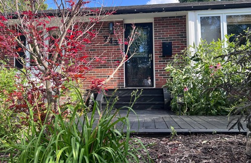 Selwyn House | BEAUTIFUL HOME WITH POOL NEAR TRENT UNIVERSITY