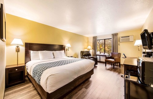Rochester Hotel | Econo Lodge Mayo Clinic Area