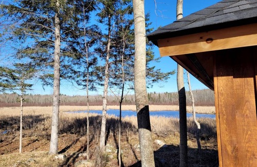 Golden Lake House | House ∙ 1 bedroom ∙ 3 guests