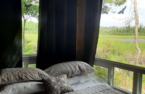 Golden Lake House | House ∙ 1 bedroom ∙ 3 guests
