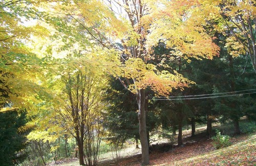 Quinte West Resort | Private room ∙ 1 guest