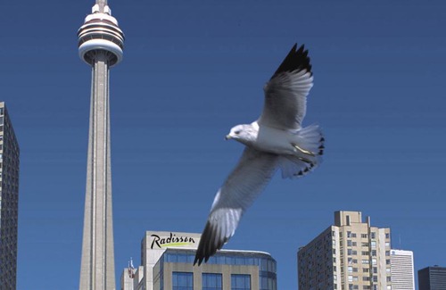 Central Waterfront Hotel | Radisson Blu Toronto Downtown
